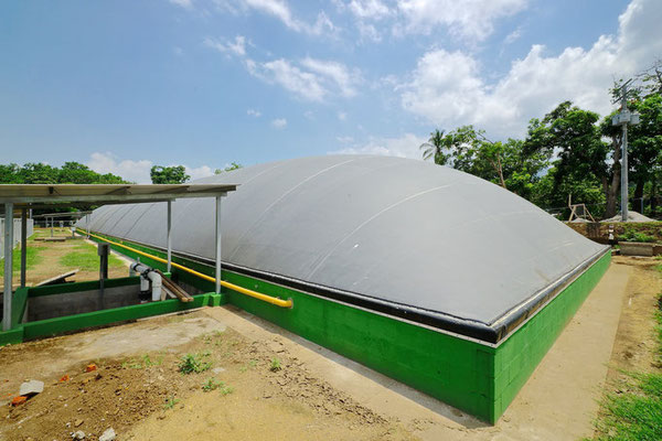 Lagoon digester for manure