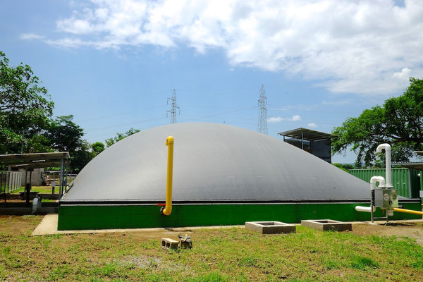 Covered lagoon digester for dairy cattle manure - digester for livestock waste 