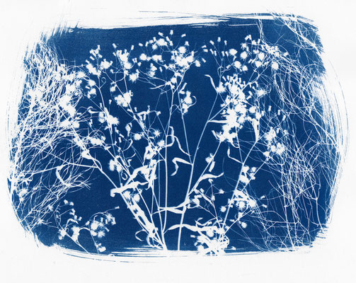 Blumen