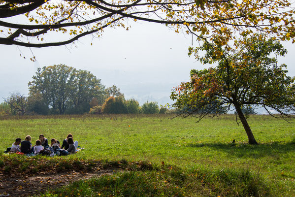 Börries von Oeynhausen