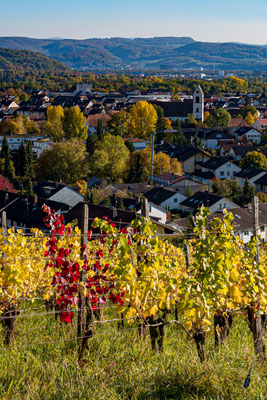 Börries von Oeynhausen