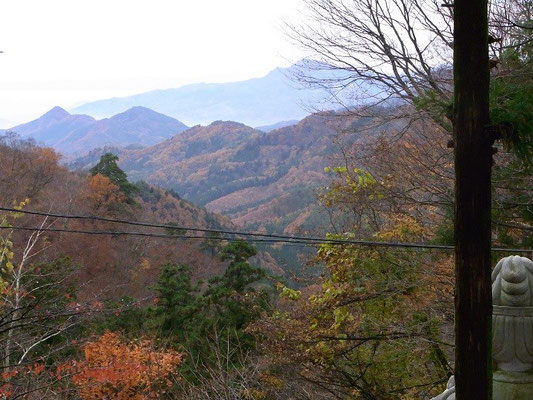 水上の紅葉！