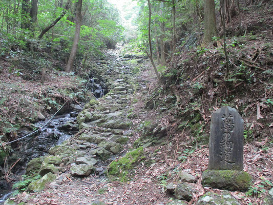 平安からの峠越えの道「蔦の細道」