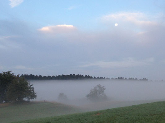 Petite brume du matin