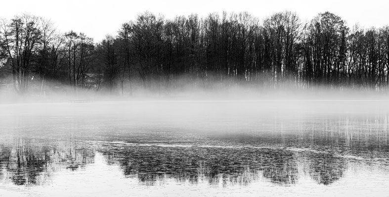 Nebel am See