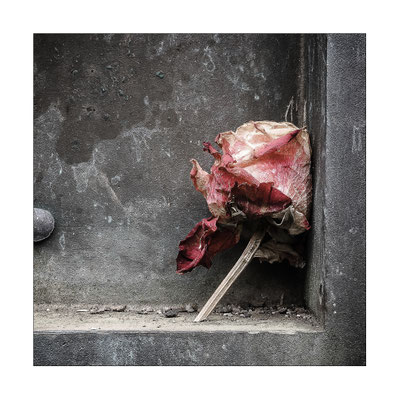 Troisdorf, 2018 © Volker Jansen