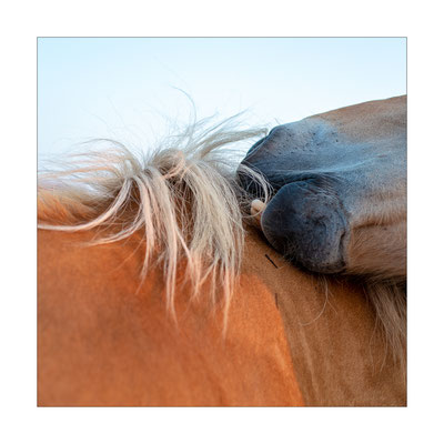 Langeoog, 2018 © Volker Jansen