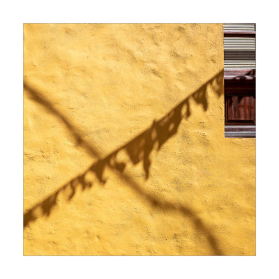 La Gomera, 2018 © Volker Jansen