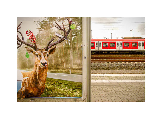 Troisdorf, 2015  © Volker Jansen