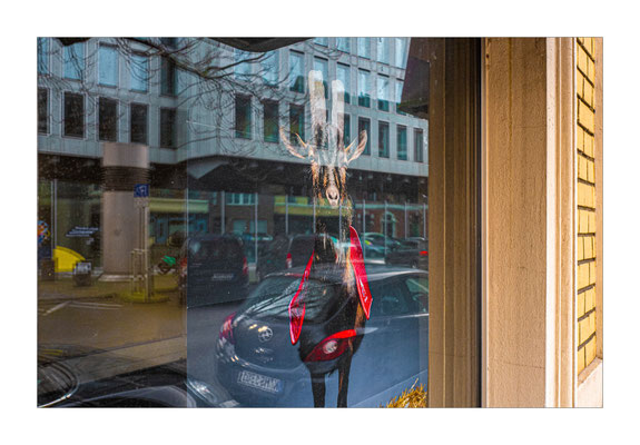 © Volker Jansen