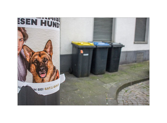 Köln, 2016  © Volker Jansen