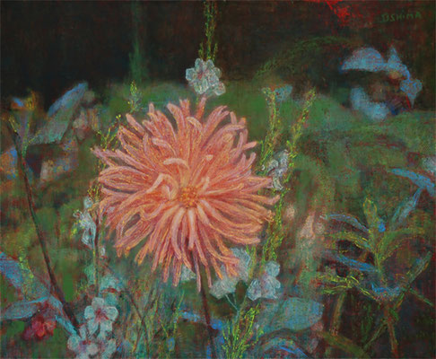 2012 Dahlia du jardin 8F