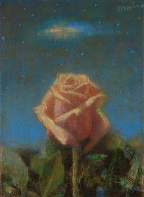 2011 Rose et nuages 1F