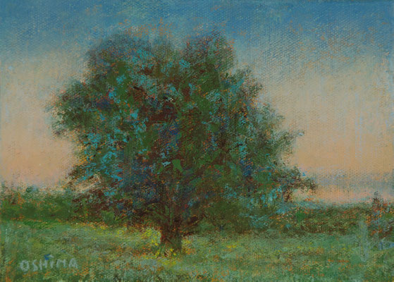 2023 Arbre 1F