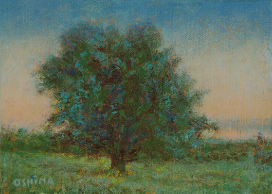2023 Arbre 1F
