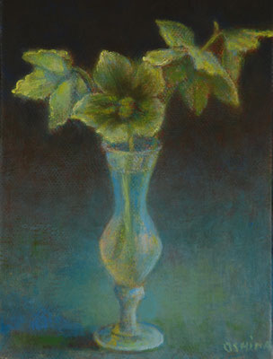 2012 Roses de Noël 1F