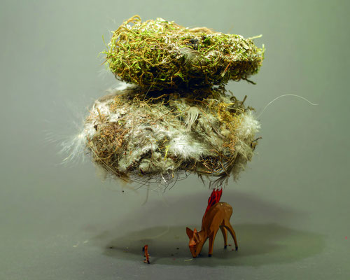 Kristin Finsterbusch, Biotope, Fotografie, Größe var., 2024