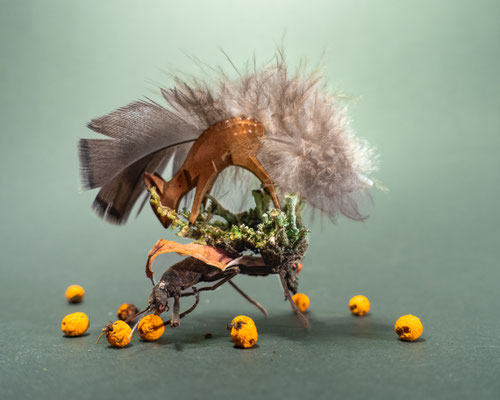 Kristin Finsterbusch, Creatures I, Fotografie, Größe var., 2024