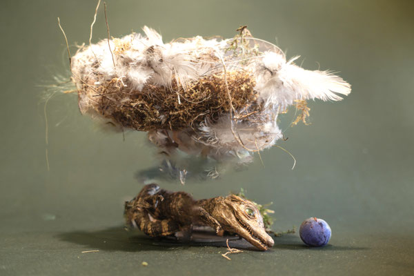 Kristin Finsterbusch, Nestflüchter, Fotografie, Größe var., 2024