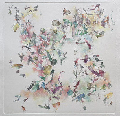 Kristin Finsterbusch, Sammlung Fauna, Feld und Wald 2, vernis mou und Zeichnung, 2018/2024, Platte 30 x 30 cm