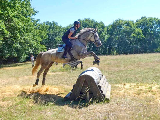 Cours de cross avec Ecurie les Rouillons, Sens