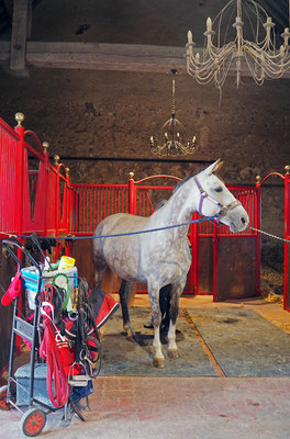 Cocooning cheval, écurie de propriétaires les Rouillons, 89 Sens
