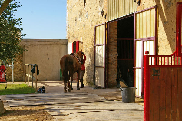 Aire de pansage, écurie de propriétaires les Rouillons, 89 Sens