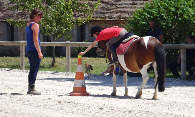 L'apprentissage par le jeu au poney club, les Rouillons, Sens