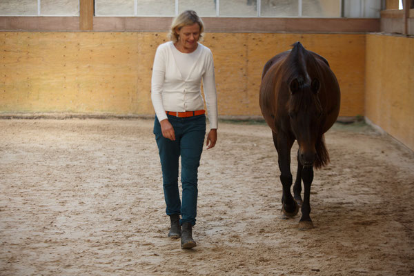 Equi coaching à l'écurie les rouillons