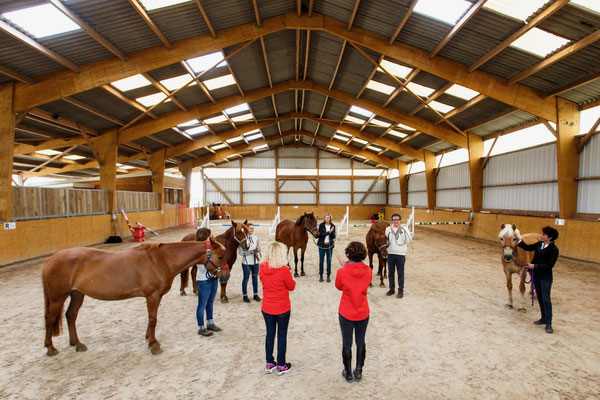 Manège couvert aux Rouillons, écurie à Sens