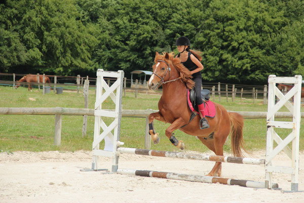 Cours de saut d'obstacle au poney club
