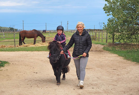 Balade en main à poney à Sens