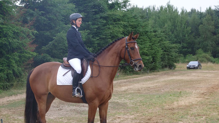 Travail du cheval de CCE avec Fanny Lelièvre, écurie les Rouillons, 89 Sens