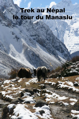 Trek - tour du Manaslu