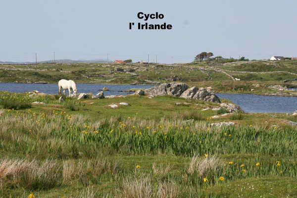 Cyclo : en Irlande
