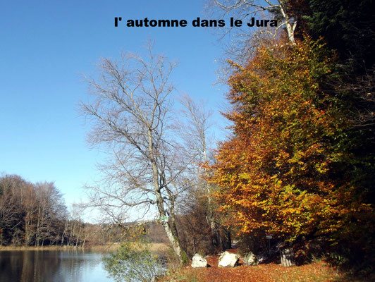 l' automne dans le Jura