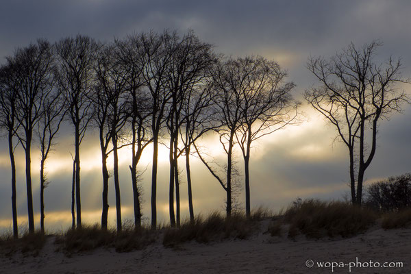 Baltic Sea Shore - Germany