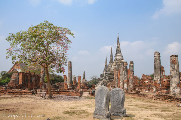 Ayutthaya - Thailand