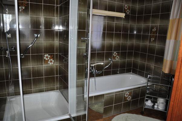 Badezimmer mit Dusche und Badewanne - Appartement 2