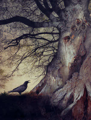BLACK WINGED MESSENGER PART XXIV