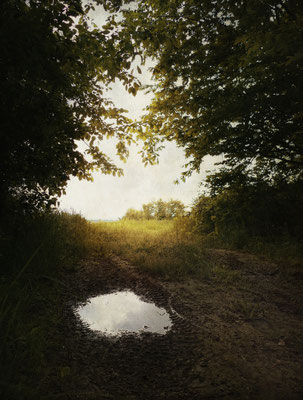 IN A QUIET SPACE