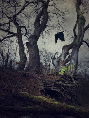 BLACK WINGED MESSENGER PART IX