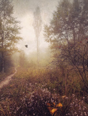 FROM THE BOOK OF FOG