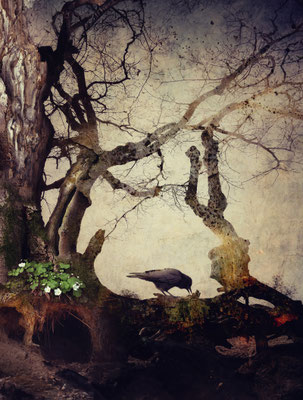 BLACK WINGED MESSENGER PART XVII