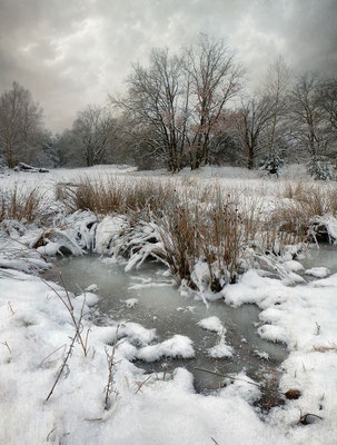 THE COLOURS OF WINTER II