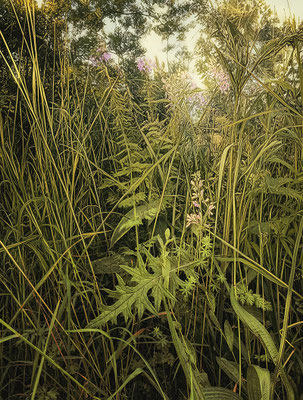 MEADOW