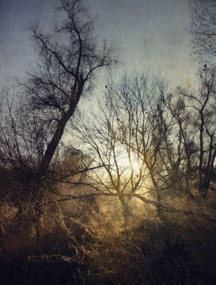 A NEW LIGHT