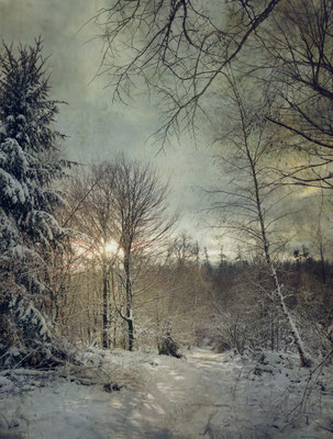 WINTER SUN