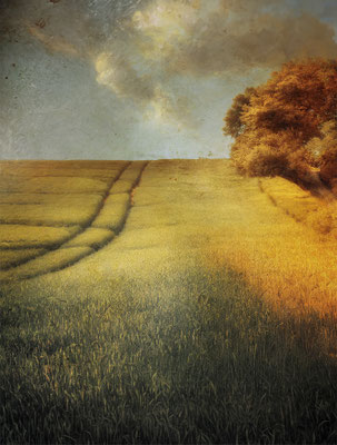 HARVEST