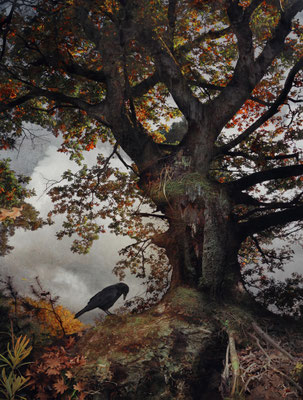 BLACK WINGED MESSENGER PART III